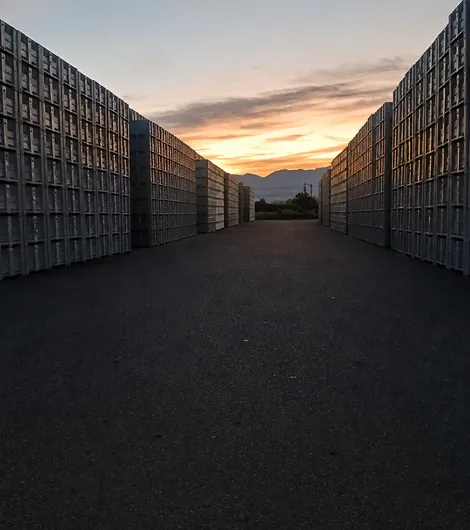 Calle interior entre pilas de bins al atardecer